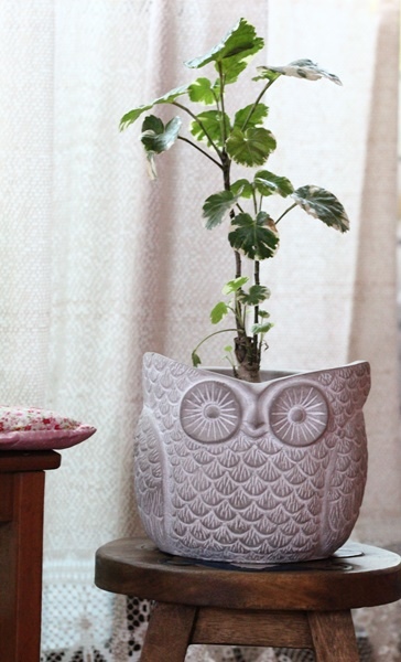 IMG_1245.JPG IMG_1245.JPG