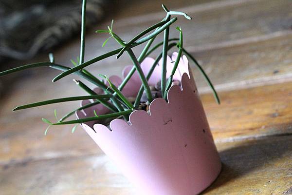 IMG_1267.JPG IMG_1267.JPG