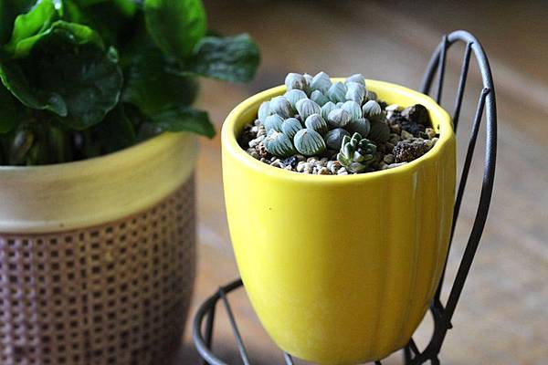 IMG_1291.JPG IMG_1291.JPG