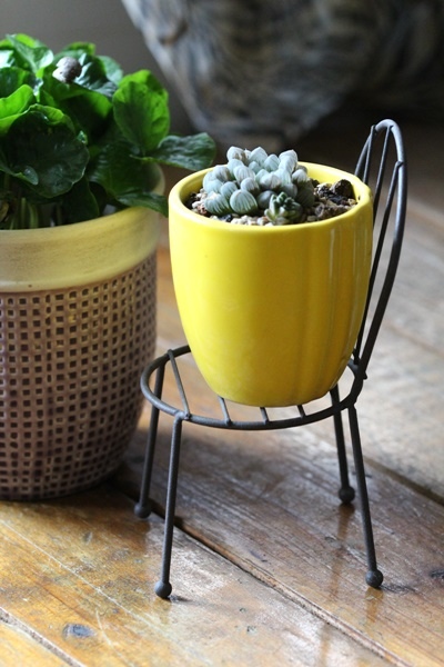 IMG_1295.JPG IMG_1295.JPG