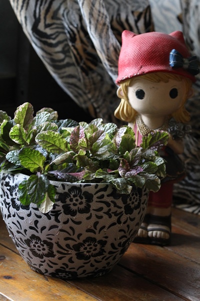 IMG_1332.JPG IMG_1332.JPG