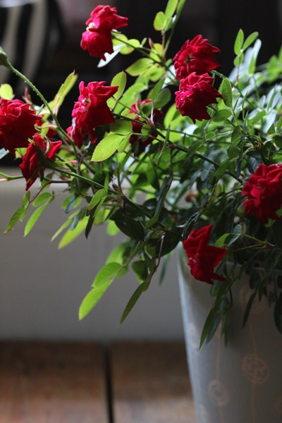 IMG_1340.JPG IMG_1340.JPG