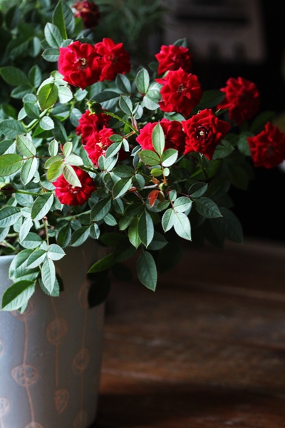 IMG_1348.JPG IMG_1348.JPG