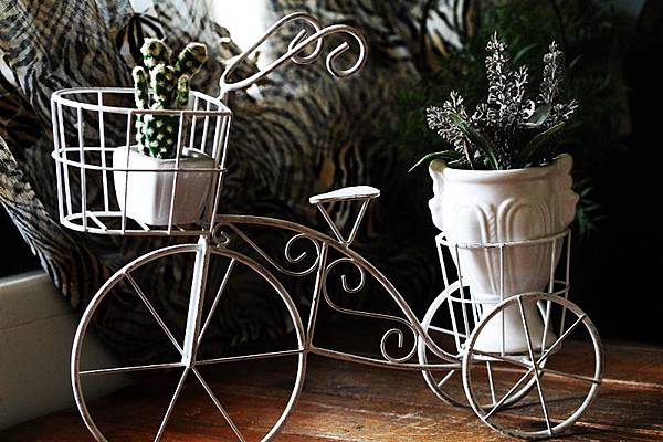 IMG_1366.JPG IMG_1366.JPG