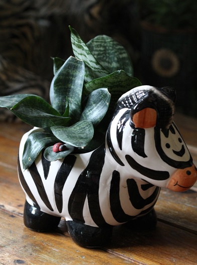 IMG_1352.JPG IMG_1352.JPG