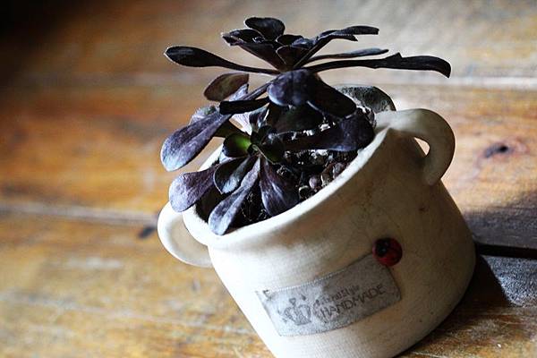 IMG_1379.JPG IMG_1379.JPG