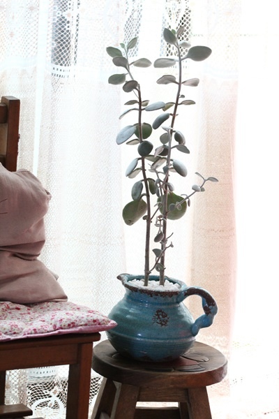 IMG_1439.JPG IMG_1439.JPG