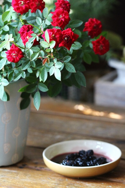 IMG_1474.JPG IMG_1474.JPG