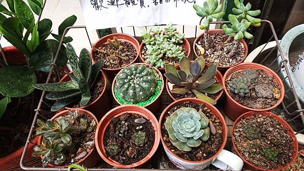 11734872411256.jpg 11734872411256.jpg