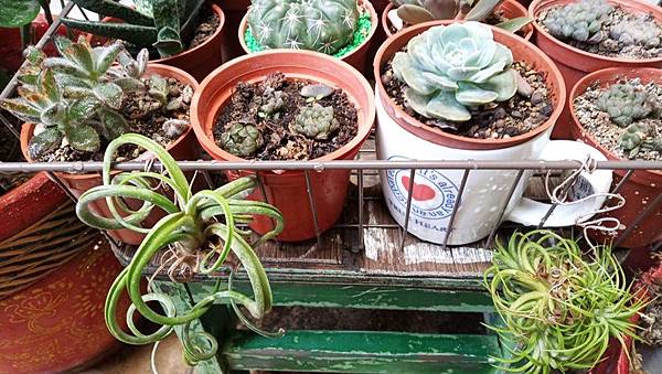 11734872385402.jpg 11734872385402.jpg