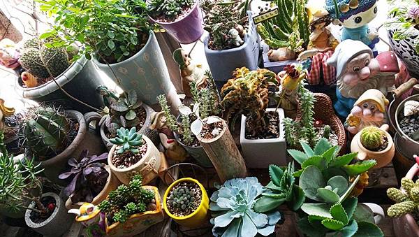 548395.jpg 548395.jpg