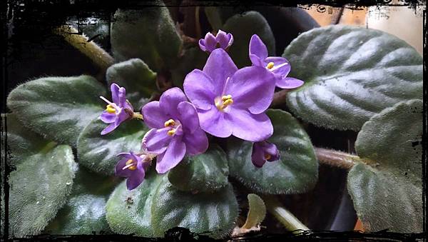 1111111.jpg 1111111.jpg