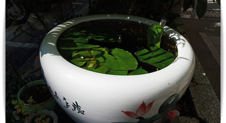 578426.jpg 578426.jpg