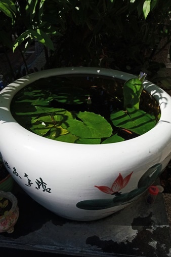 578421.jpg 578421.jpg