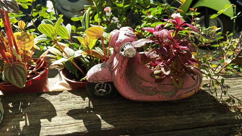 578430.jpg 578430.jpg