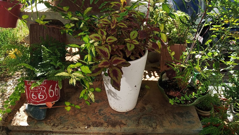 578432.jpg 578432.jpg