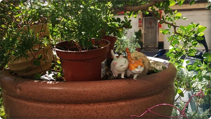 578431.jpg 578431.jpg