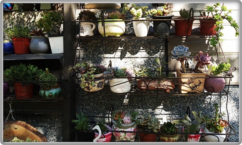 578439.jpg 578439.jpg