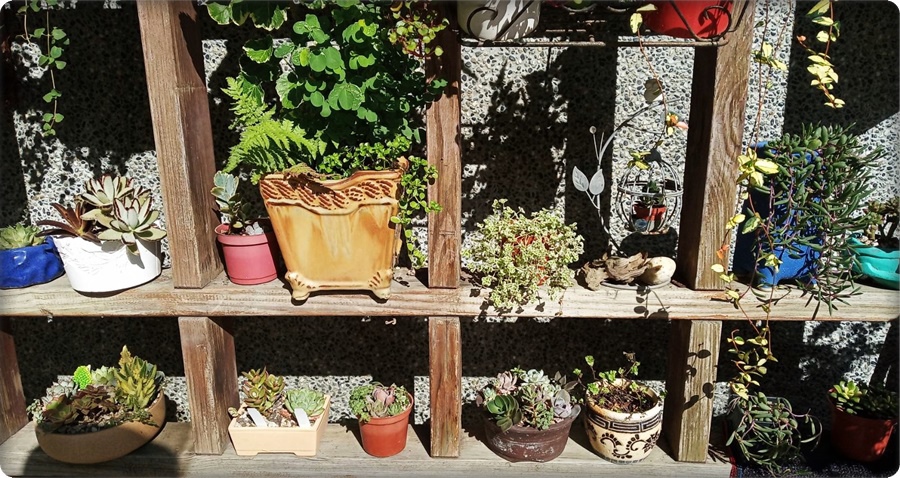 578442.jpg 578442.jpg