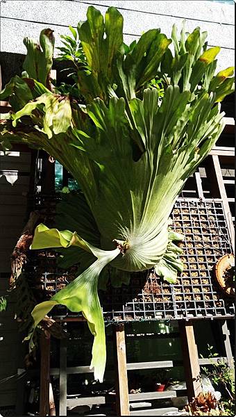 578443.jpg 578443.jpg