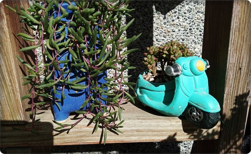 578441.jpg 578441.jpg