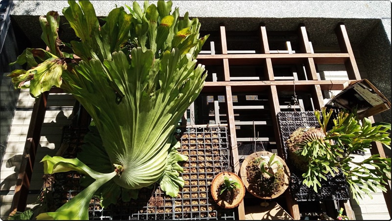 578446.jpg 578446.jpg