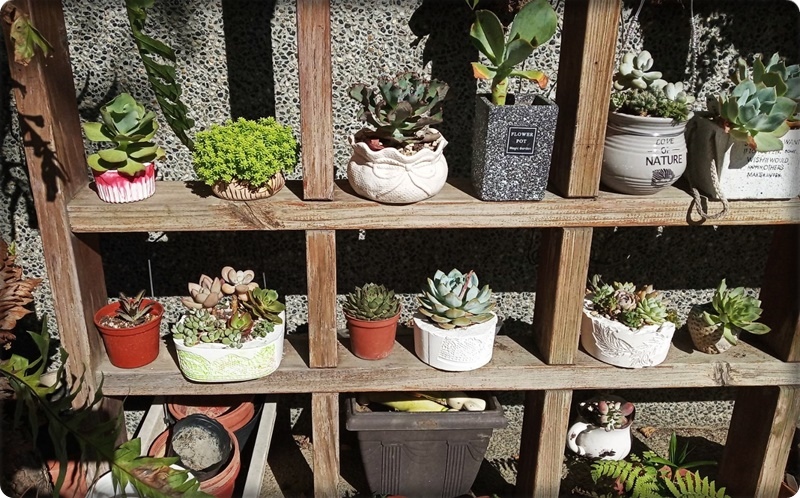 578445.jpg 578445.jpg