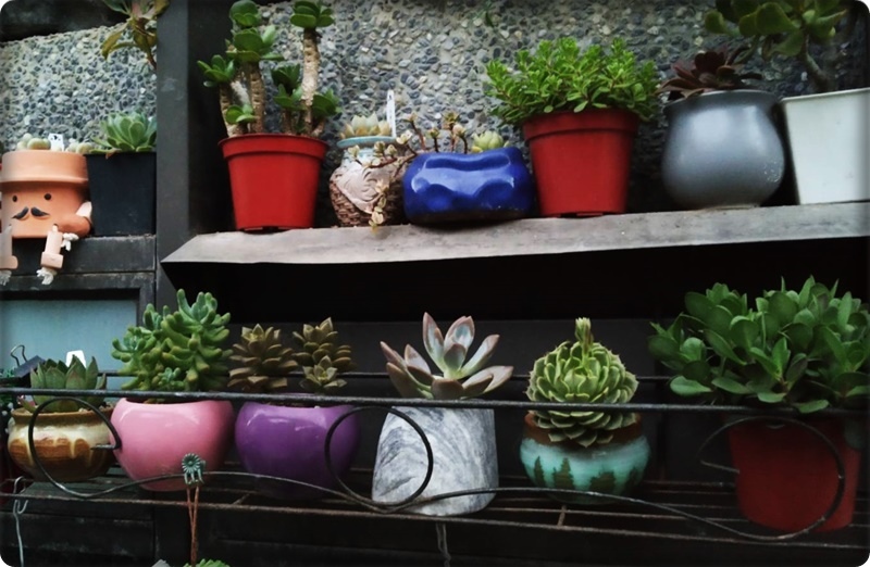 578465.jpg 578465.jpg