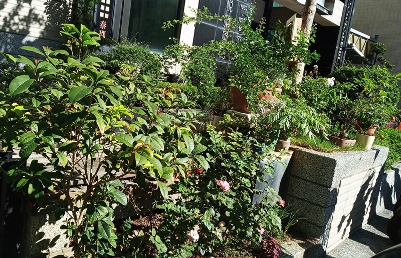 578449.jpg 578449.jpg