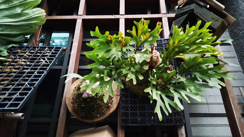 578472.jpg 578472.jpg