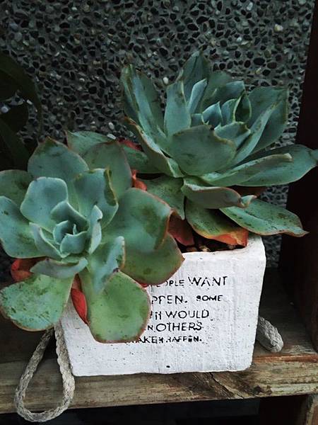 578470.jpg 578470.jpg