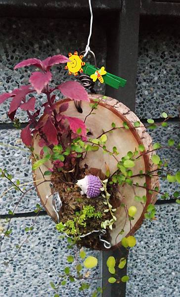 578466.jpg 578466.jpg