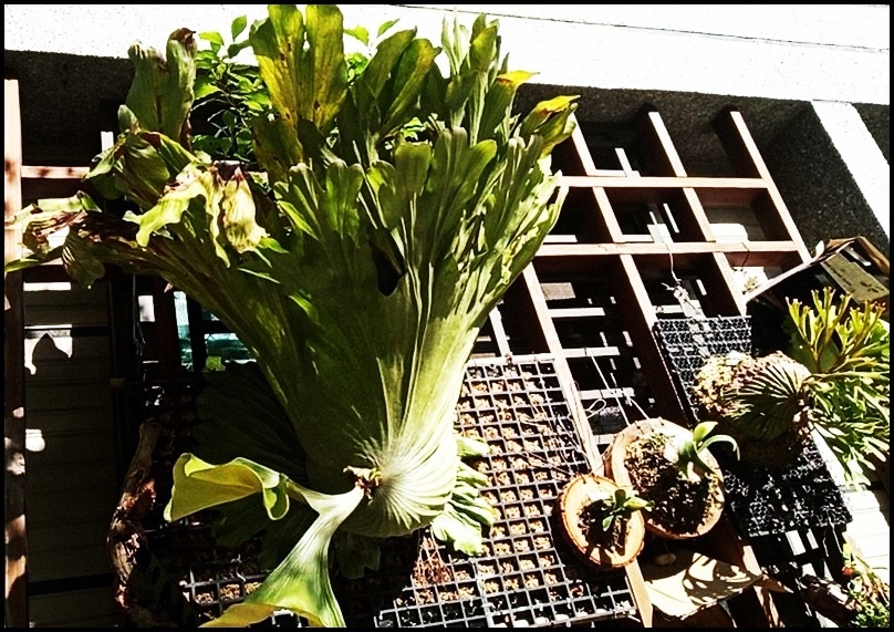 579560.jpg 579560.jpg