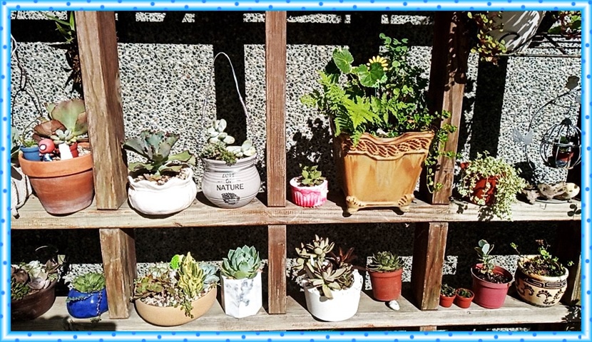 579564.jpg 579564.jpg