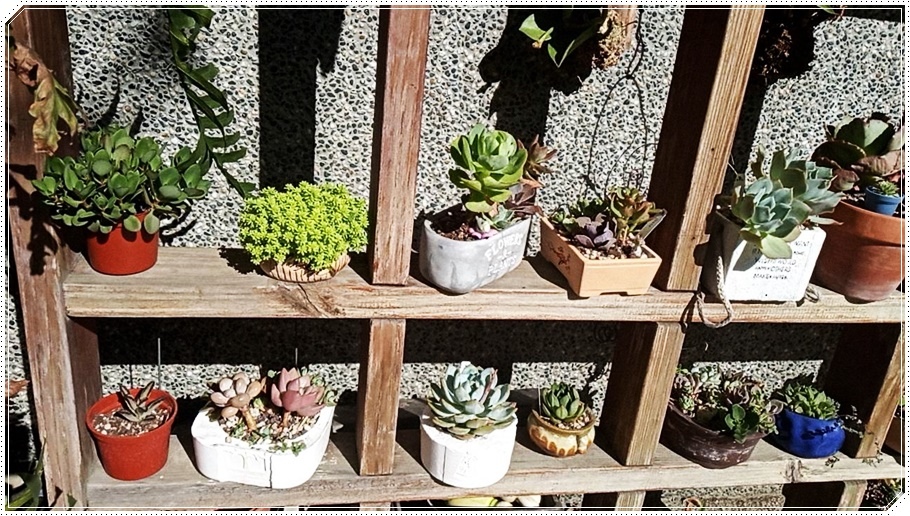 579562.jpg 579562.jpg