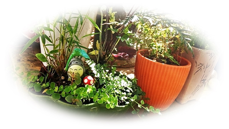 579567.jpg 579567.jpg