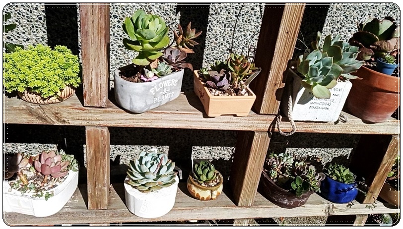 579563.jpg 579563.jpg