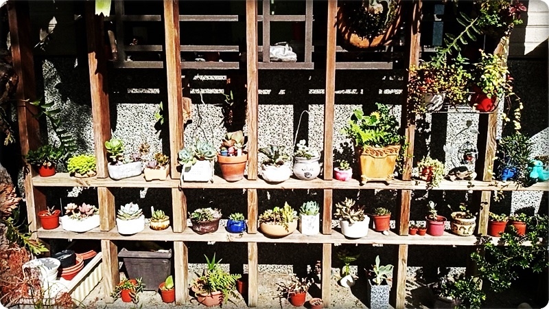 579579.jpg 579579.jpg