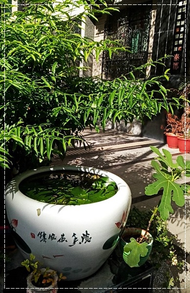 579575.jpg 579575.jpg