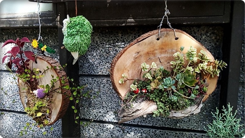 579572.jpg 579572.jpg