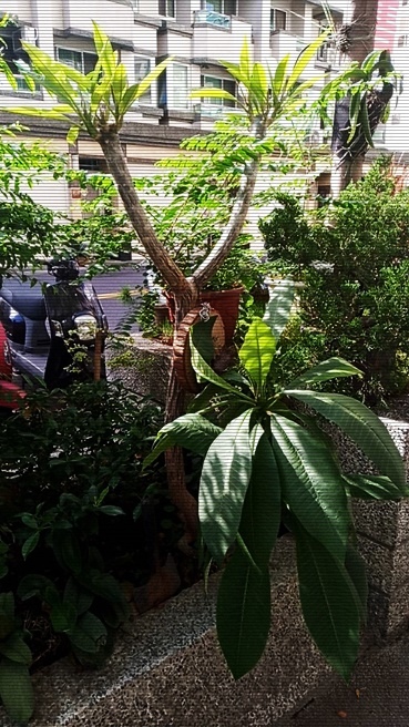 579587.jpg 579587.jpg