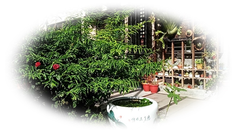 579592.jpg 579592.jpg