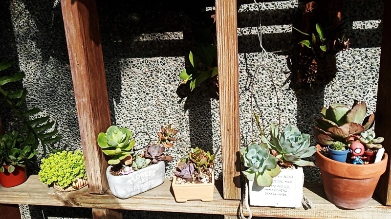 579583.jpg 579583.jpg