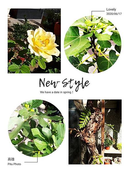 579808.jpg 579808.jpg