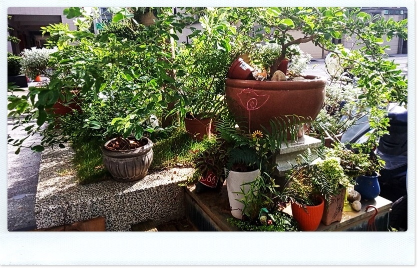 579585.jpg 579585.jpg