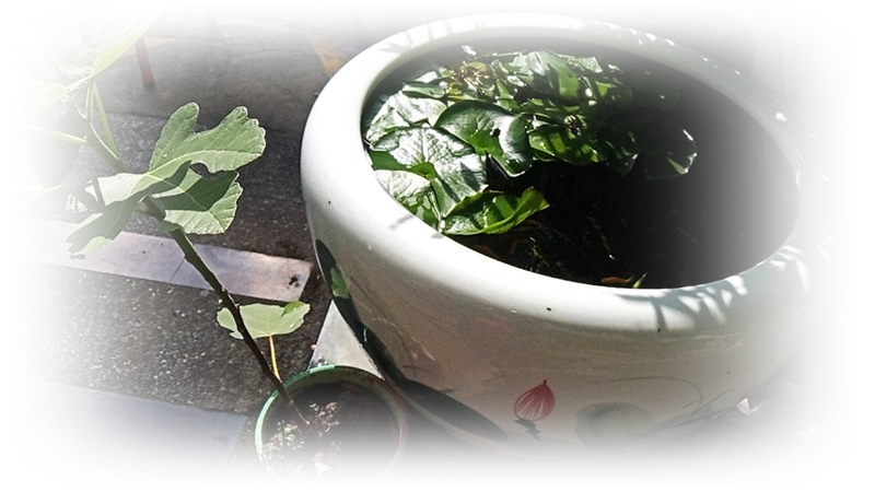 579589.jpg 579589.jpg