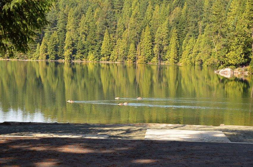 DSC_5349 DSC_5349
