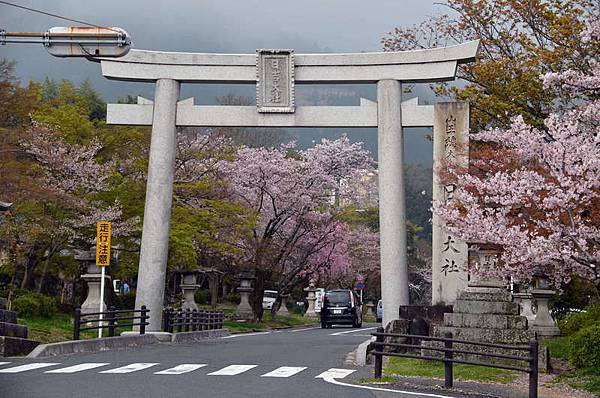16日本賞櫻 京阪電車石山坂本線 比叡山下坂本周邊的櫻花 Angel 痞客邦 16日本賞櫻 京阪電車石山坂本線 比叡山下坂本周邊的櫻花 Angel 痞客邦