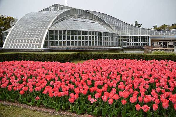 DSC_1982.JPG DSC_1982.JPG