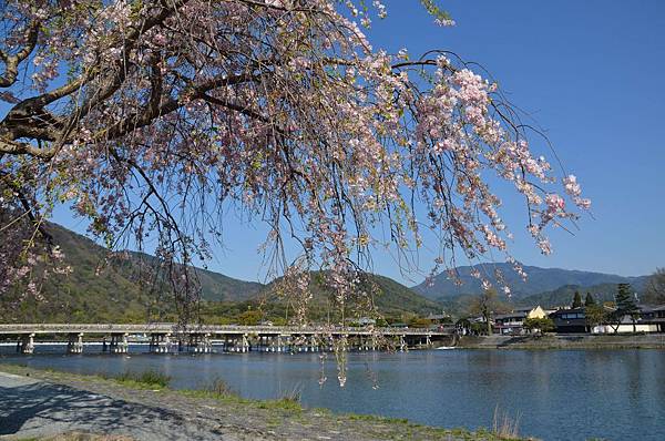 DSC_3635.JPG DSC_3635.JPG